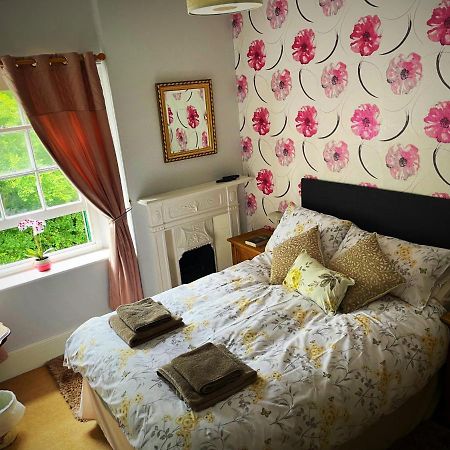 The Dartmoor Bnb Йелвертън Екстериор снимка